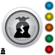 Money Bag Icon N9