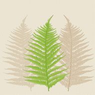 Fern Frond N2