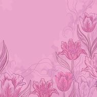 Flowers tulips on a pink