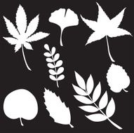 Vector silhouette of garden supplies N4