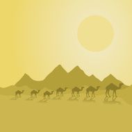 Desert N4