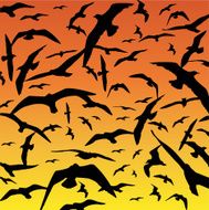 Birds N102