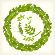 Leaf circle (vector)