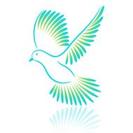 Pigeon Vector illustration