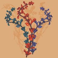 Oregano Chromatic Arrangement
