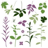 Plants silhouettes set N2