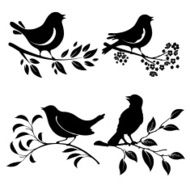 Bird On Branch N10
