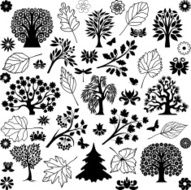Trees and plants N5