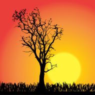 Vector silhouette of tree N16