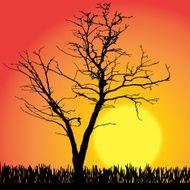 Vector silhouette of tree N18