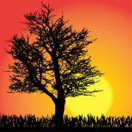 Vector silhouette of tree N19