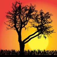 Vector silhouette of tree N20