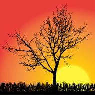 Vector silhouette of tree N21