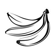 Black silhouette of bananas isolated on white Vector illustration