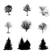 Set of Tree Silhouette Isolated on White Backgorund Vecrtor Ill N4