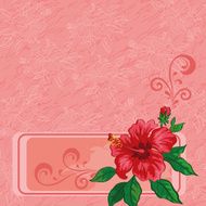 Floral background hibiscus and contours