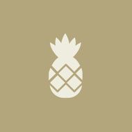 Food Flat Icon N29