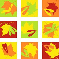 icons with seeds and leaves of maple