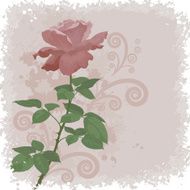 Holiday background with flower rose N3