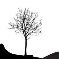 Tree Silhouette Isolated on White Backgorund Vecrtor Illustrati N34