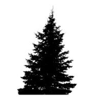 Tree Silhouette Isolated on White Backgorund Vecrtor Illustrati N35