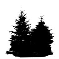 Tree Silhouette Isolated on White Backgorund Vecrtor Illustrati N36