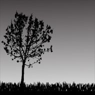 Vector silhouette of tree N26