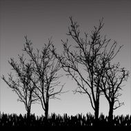 Vector silhouette of tree N27