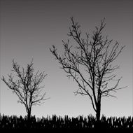 Vector silhouette of tree N28