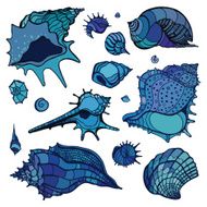 Sea shells set N6