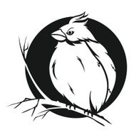 Bird On Branch N11