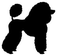 Standard Poodle Dog Silhouette
