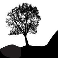 Tree Silhouette Isolated on White Backgorund Vecrtor Illustrati N37