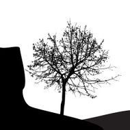 Tree Silhouette Isolated on White Backgorund Vecrtor Illustrati N38