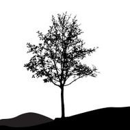 Tree Silhouette Isolated on White Backgorund Vecrtor Illustrati N39