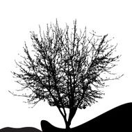 Tree Silhouette Isolated on White Backgorund Vecrtor Illustrati N41