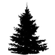 Tree Silhouette Isolated on White Backgorund Vecrtor Illustrati N42