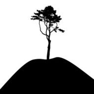 Tree Silhouette Isolated on White Backgorund Vecrtor Illustrati N43
