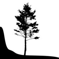 Tree Silhouette Isolated on White Backgorund Vecrtor Illustrati N44
