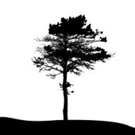Tree Silhouette Isolated on White Backgorund Vecrtor Illustrati N45