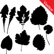 Set of silhouettes leaves trees and flowers
