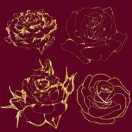 Roses Gold Contours florets