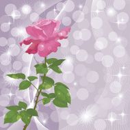 Holiday background with flower rose N4