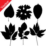 Set of silhouettes leaves trees and flowers N3