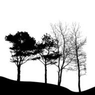 Tree Silhouette Isolated on White Backgorund Vecrtor Illustrati N48