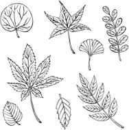 vector silhouette of various leaves