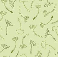 vector pattern with dandelion seeds