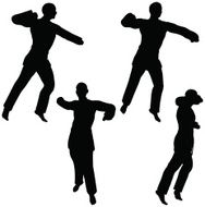 martial art silhouettes fist fight karate poses N4