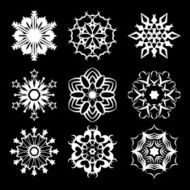 Snowflakes N79