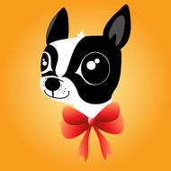 French Bulldog N4